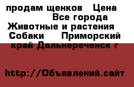 продам щенков › Цена ­ 15 000 - Все города Животные и растения » Собаки   . Приморский край,Дальнереченск г.